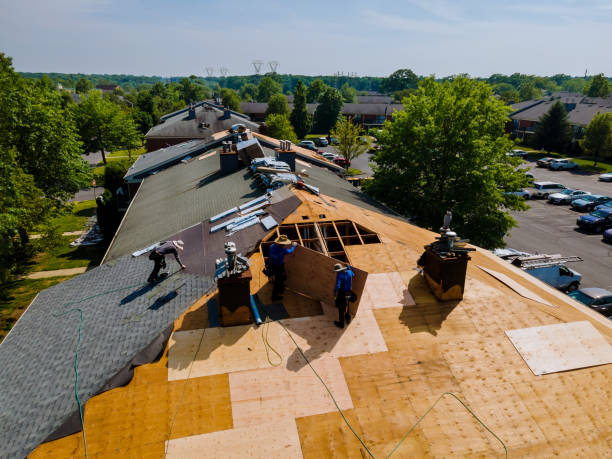 24/7 Emergency Metal Roofing experts in Capeville, VA