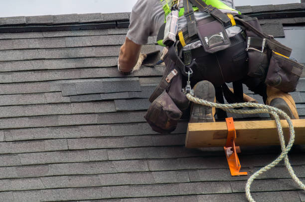 Reliable Metal Roofing contractor in Capeville, VA by Brentwood Metal Roofing